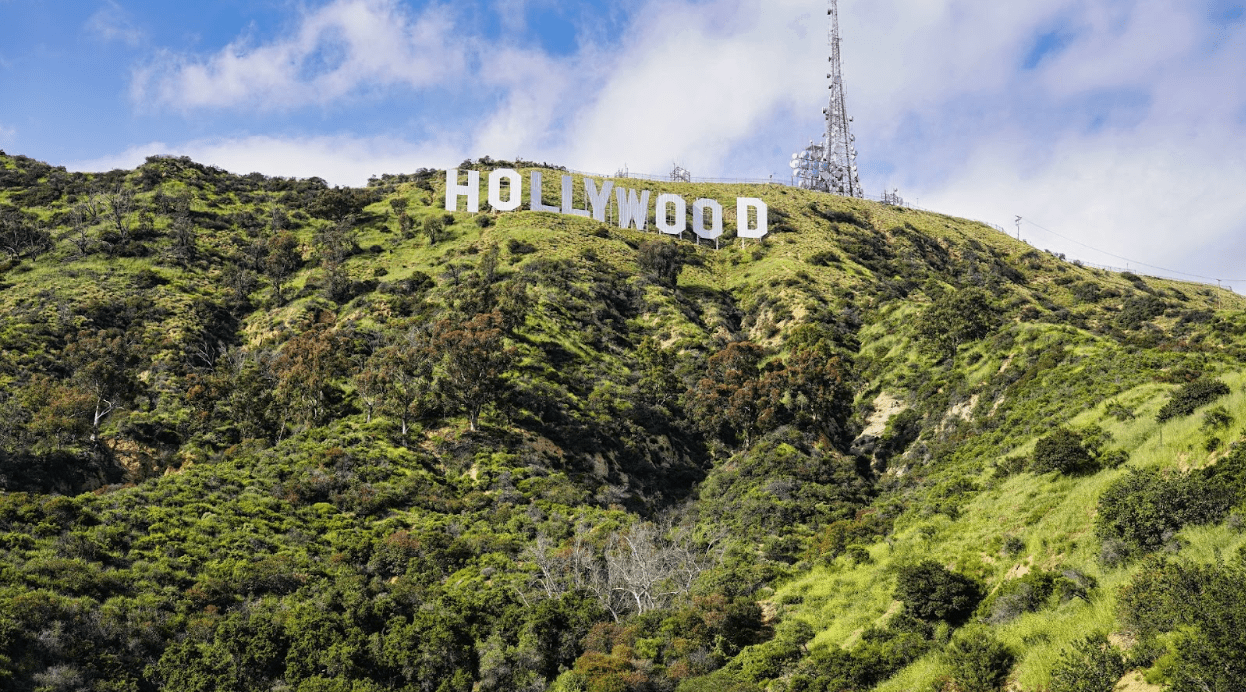 Las estrellas de Hollywood y sus atrevidas empresas más allá de la pantalla